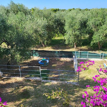 Residence Dolce Far Niente Vieste Zewnętrze zdjęcie