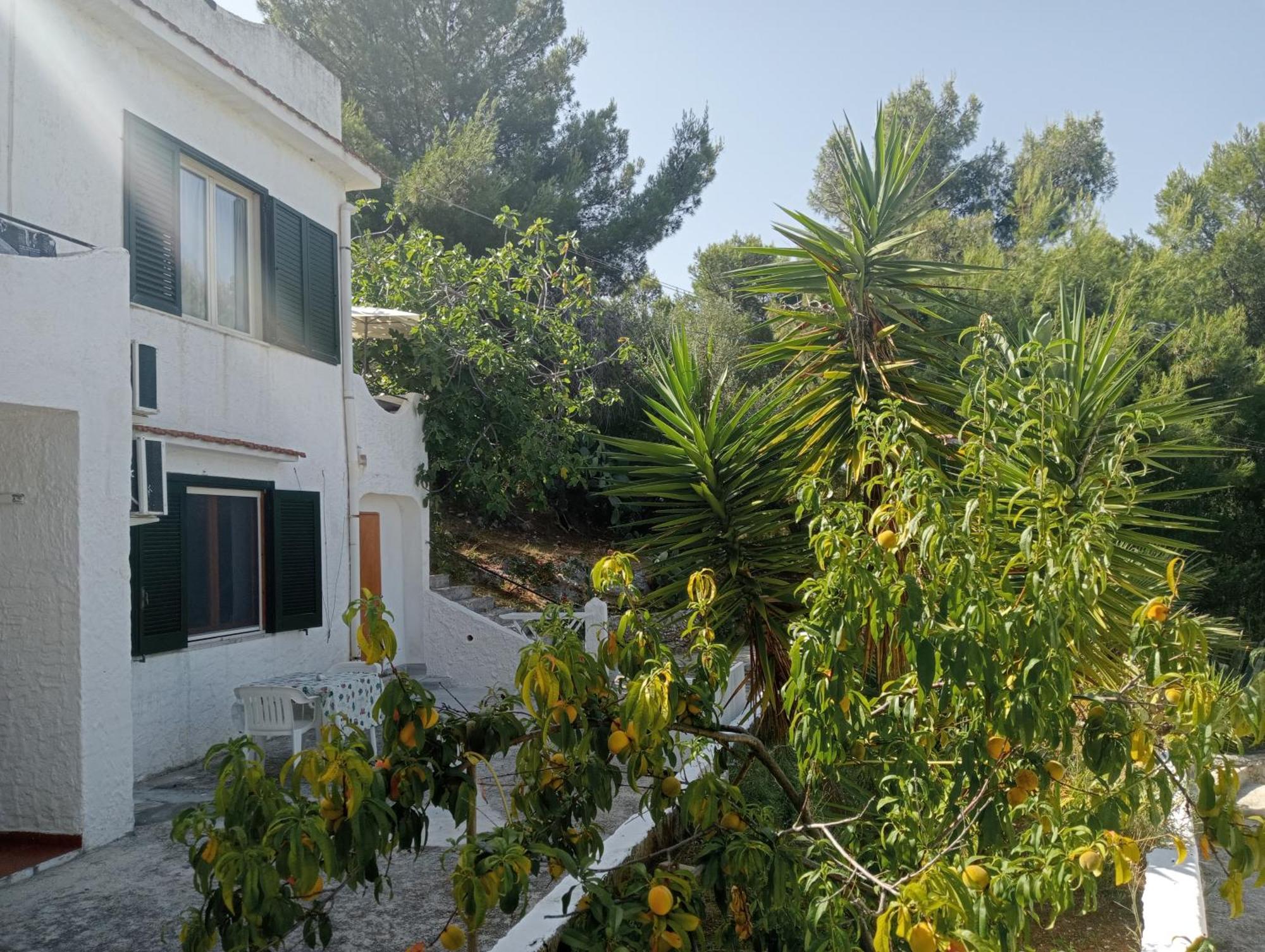 Residence Dolce Far Niente Vieste Zewnętrze zdjęcie