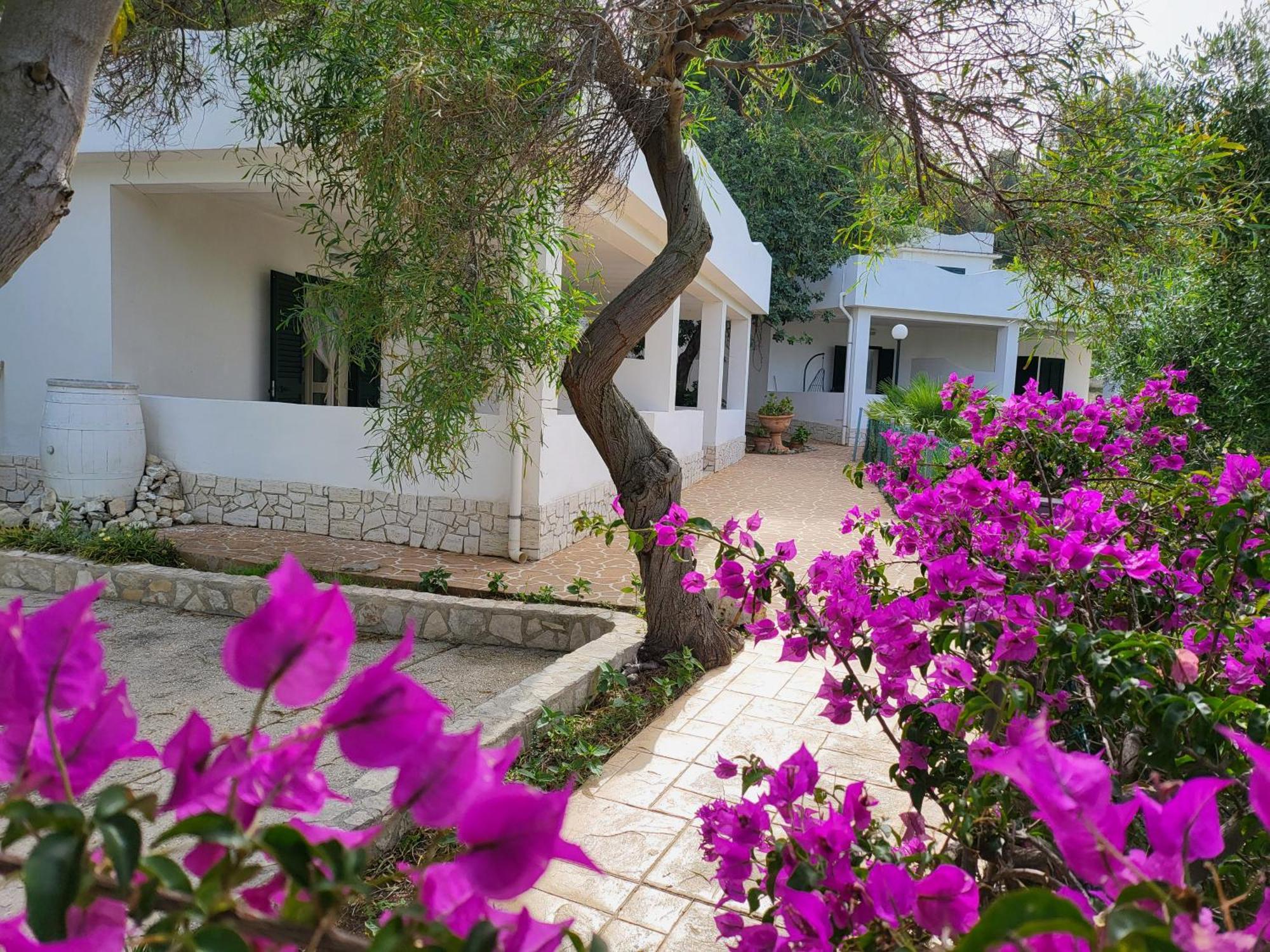 Residence Dolce Far Niente Vieste Zewnętrze zdjęcie